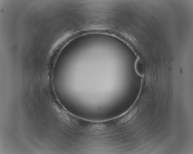 X0000062851406200601131338