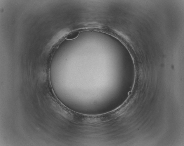 X0000062851407200601131338