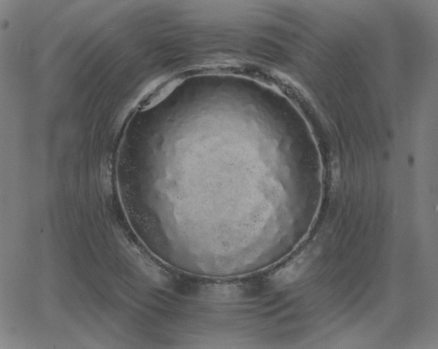 X0000062851409200601131338