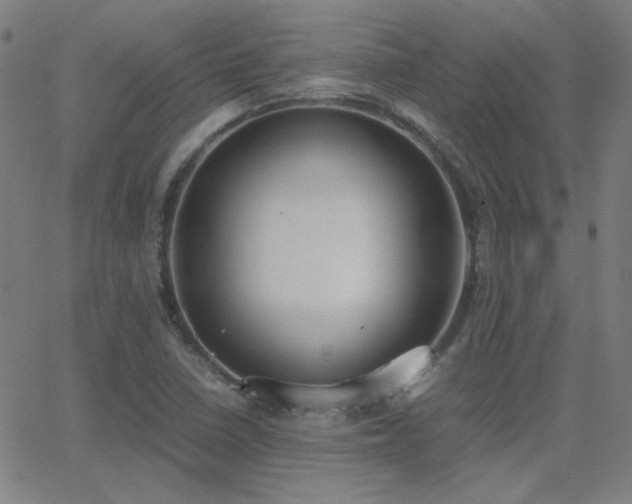 X0000062851410200601131338