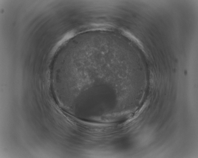 X0000062851411200601131338