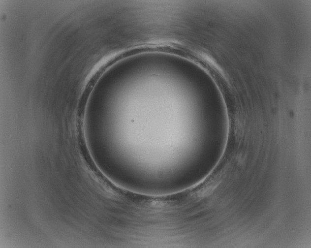 X0000062851412200601131338