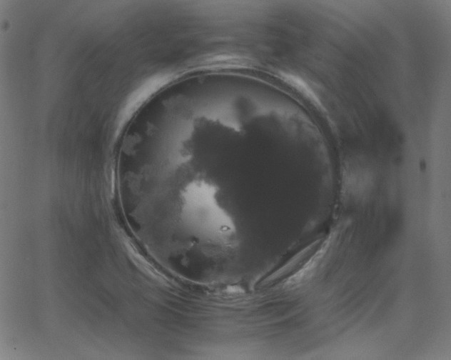 X0000062851413200601131338