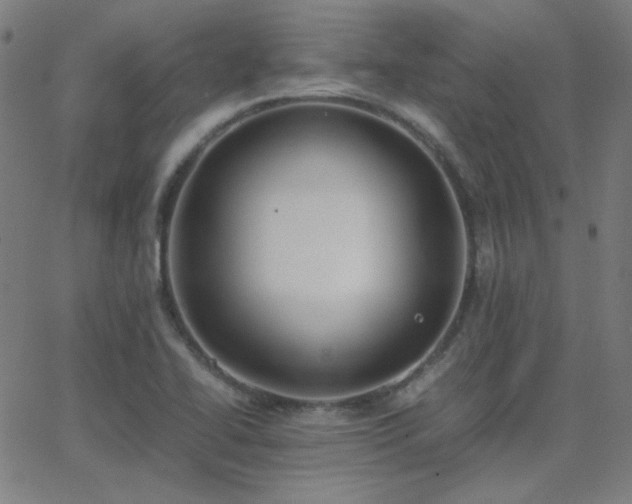 X0000062851414200601131338