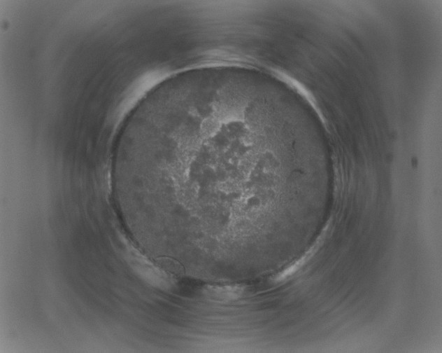 X0000062851415200601131338