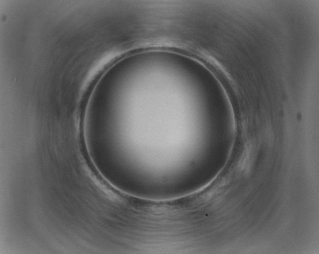 X0000062851416200601131338