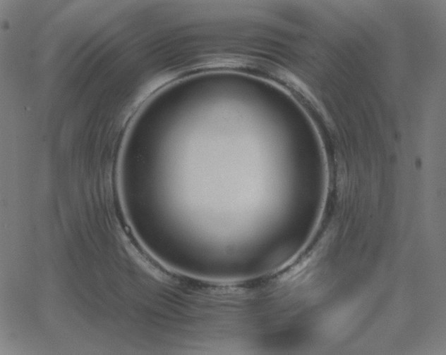 X0000062851417200601131338