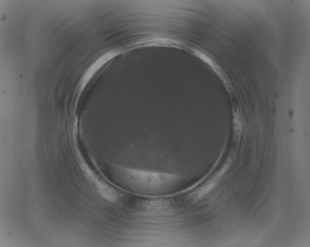 X0000062851418200601131338