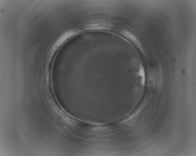 X0000062851419200601131338