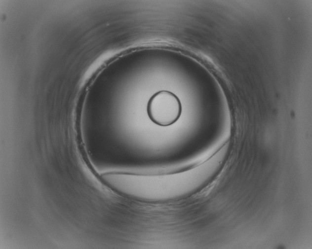 X0000062851422200601131338