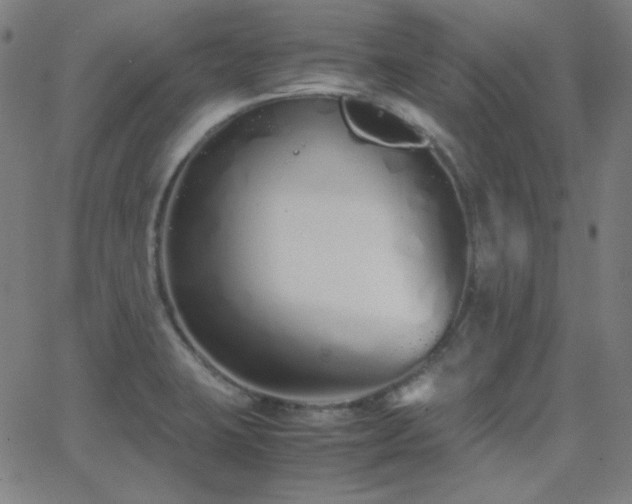 X0000062851423200601131338