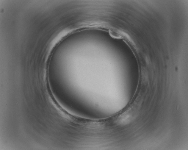 X0000062851424200601131338