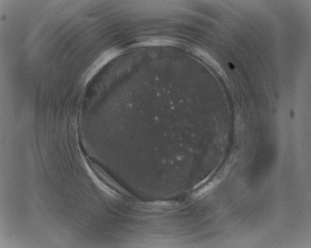 X0000062851425200601131338