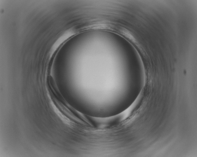 X0000062851426200601131338