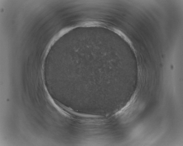 X0000062851429200601131338