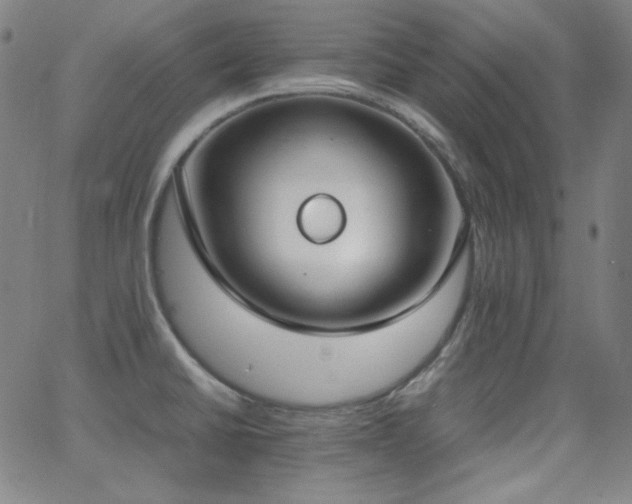 X0000062851430200601131338