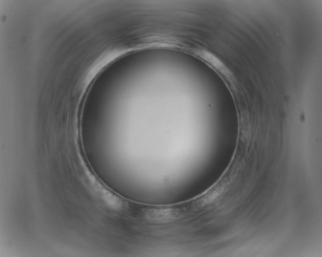 X0000062851431200601131338