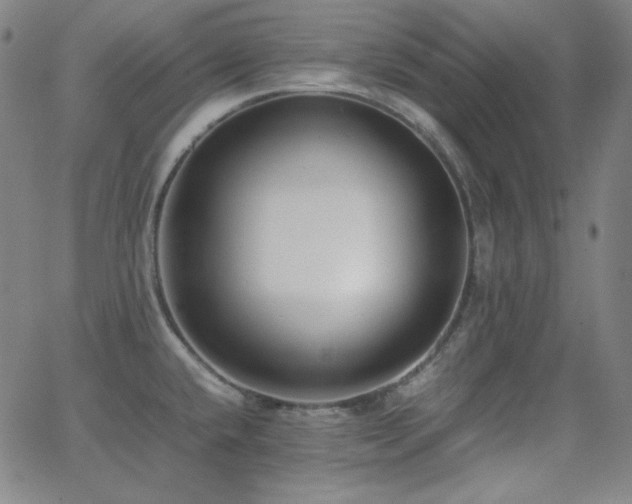 X0000062851432200601131338