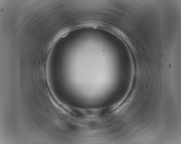 X0000062851433200601131338