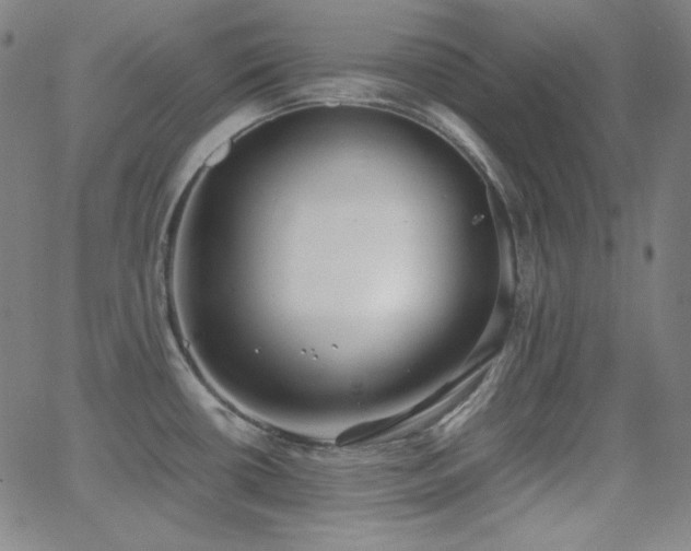 X0000062851434200601131338