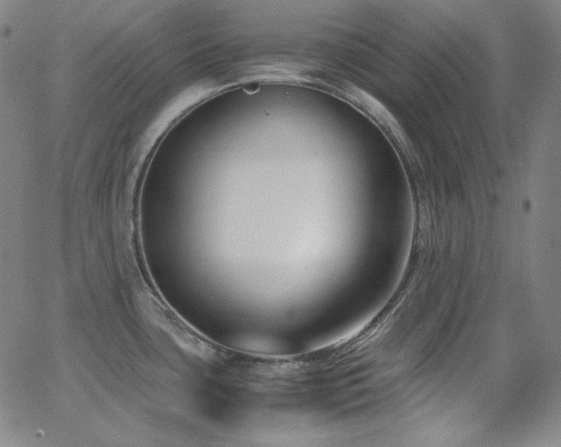 X0000062851435200601131338