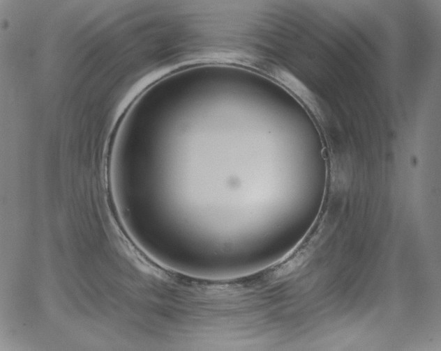 X0000062851436200601131338