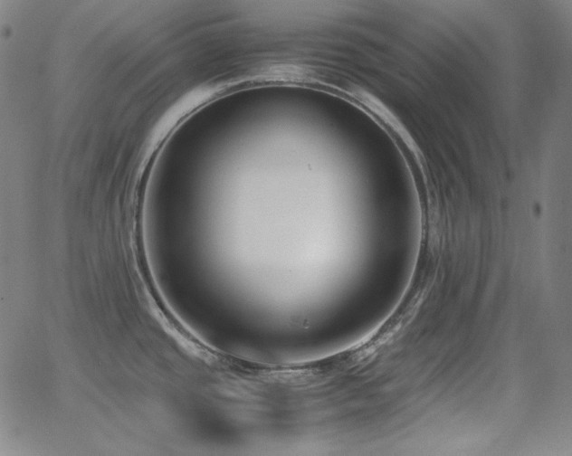 X0000062851437200601131338