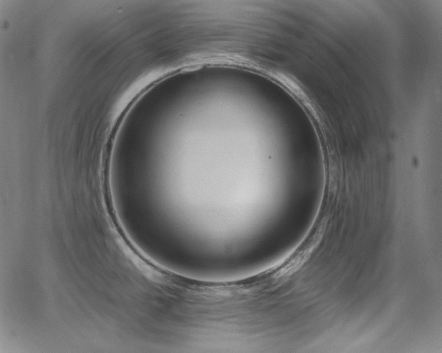 X0000062851438200601131338