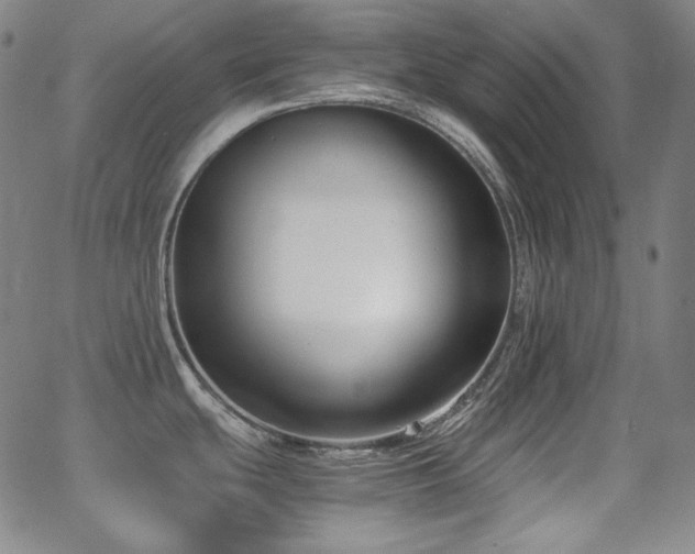 X0000062851439200601131338