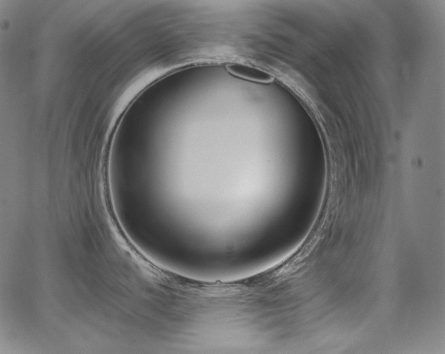 X0000062851440200601131338