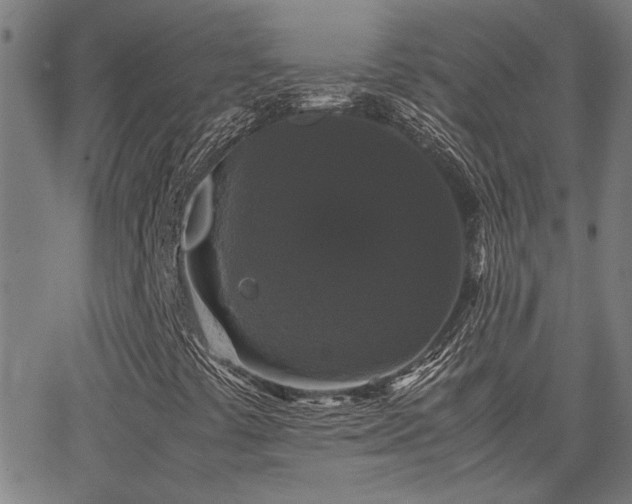 X0000062851441200601131337