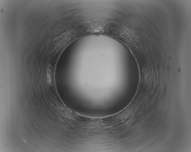 X0000062851442200601131337