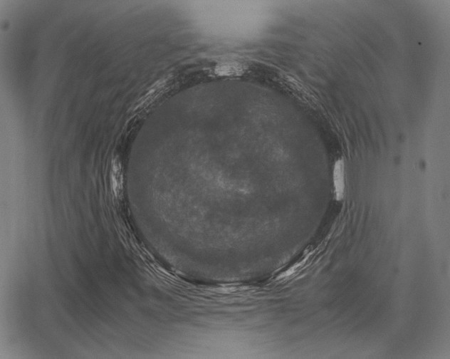 X0000062851443200601131337