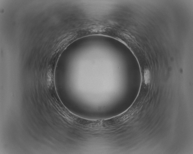 X0000062851444200601131337