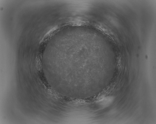 X0000062851446200601131337