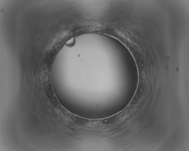 X0000062851447200601131337