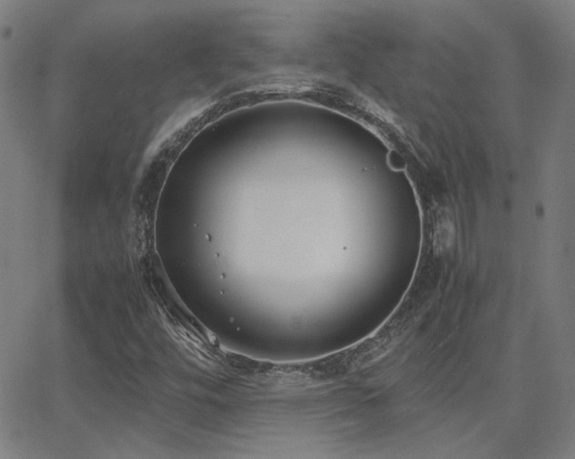 X0000062851448200601131337