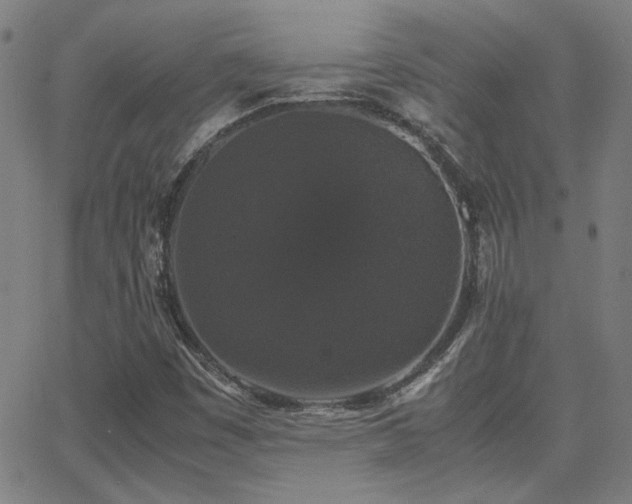 X0000062851449200601131337