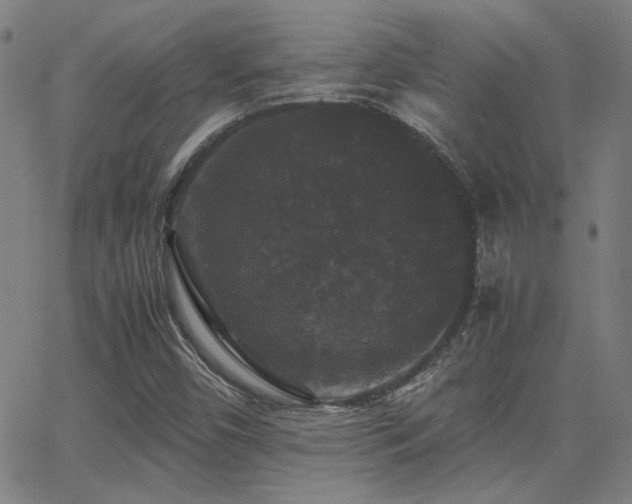 X0000062851450200601131337