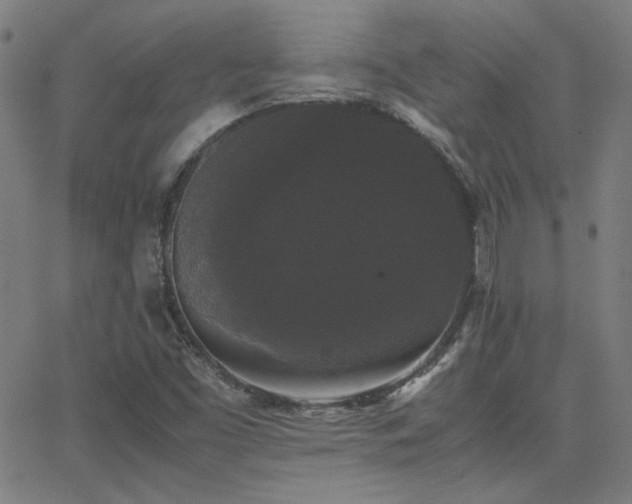 X0000062851453200601131337