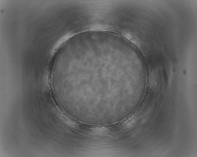 X0000062851454200601131337