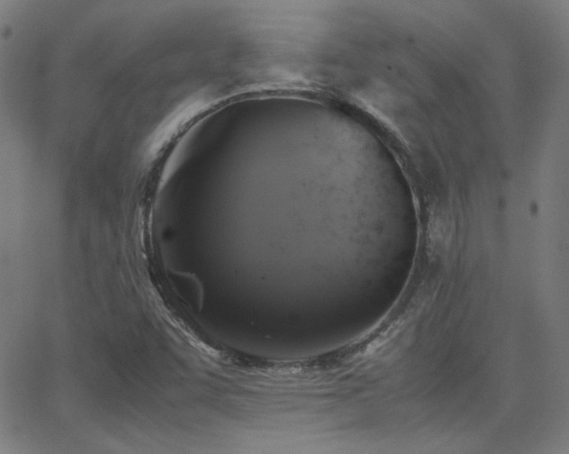 X0000062851455200601131337