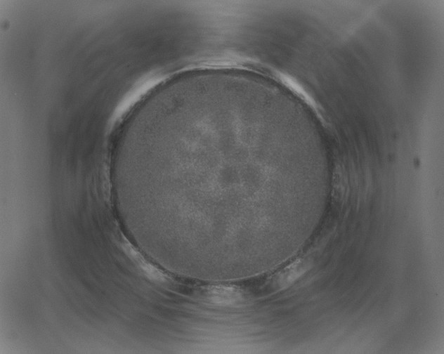 X0000062851456200601131337