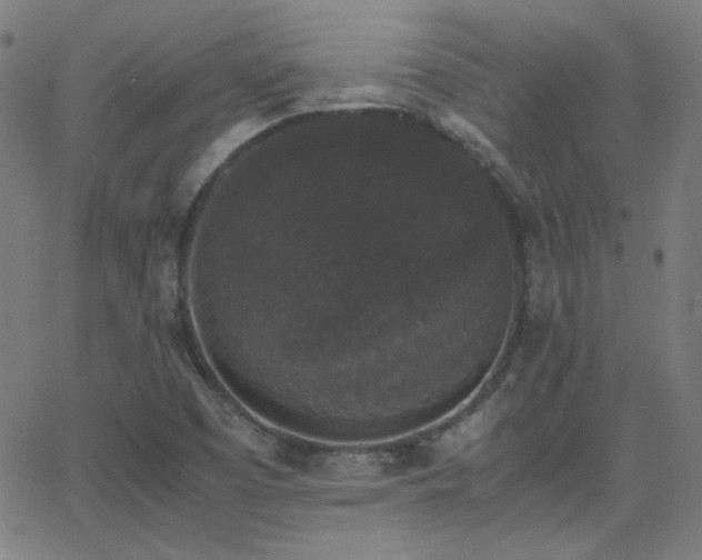 X0000062851457200601131337