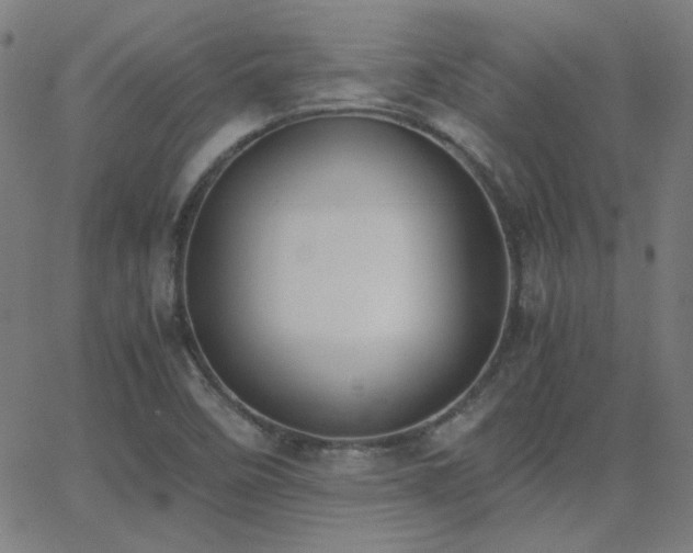 X0000062851458200601131337