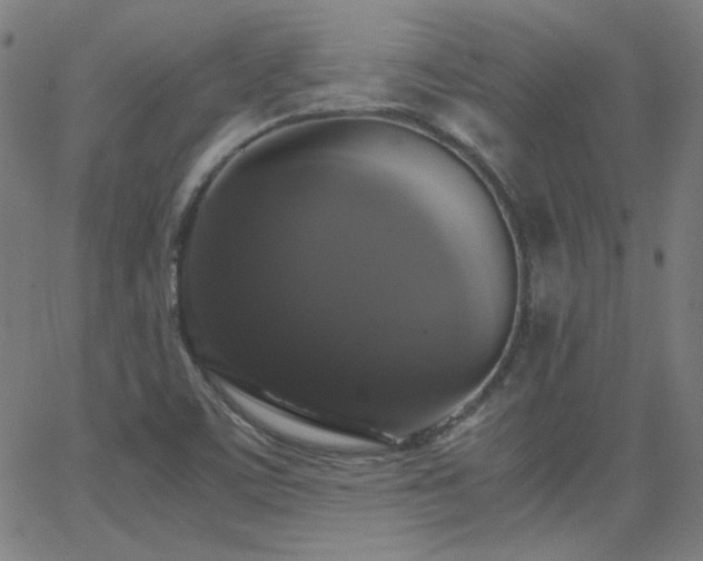 X0000062851459200601131337