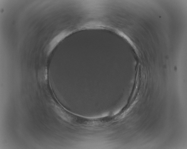 X0000062851461200601131337