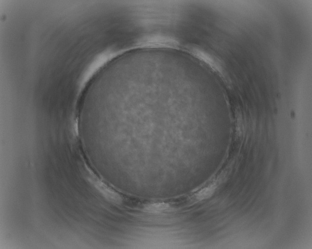 X0000062851462200601131337