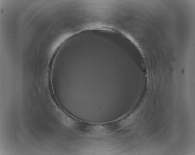 X0000062851463200601131337