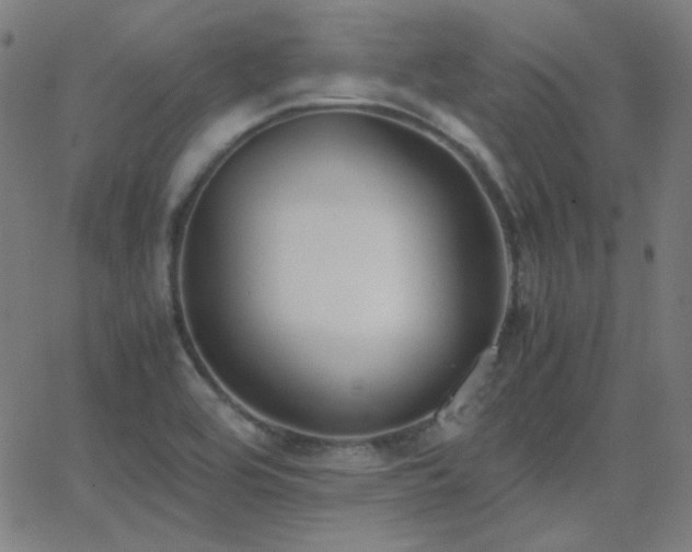 X0000062851464200601131337